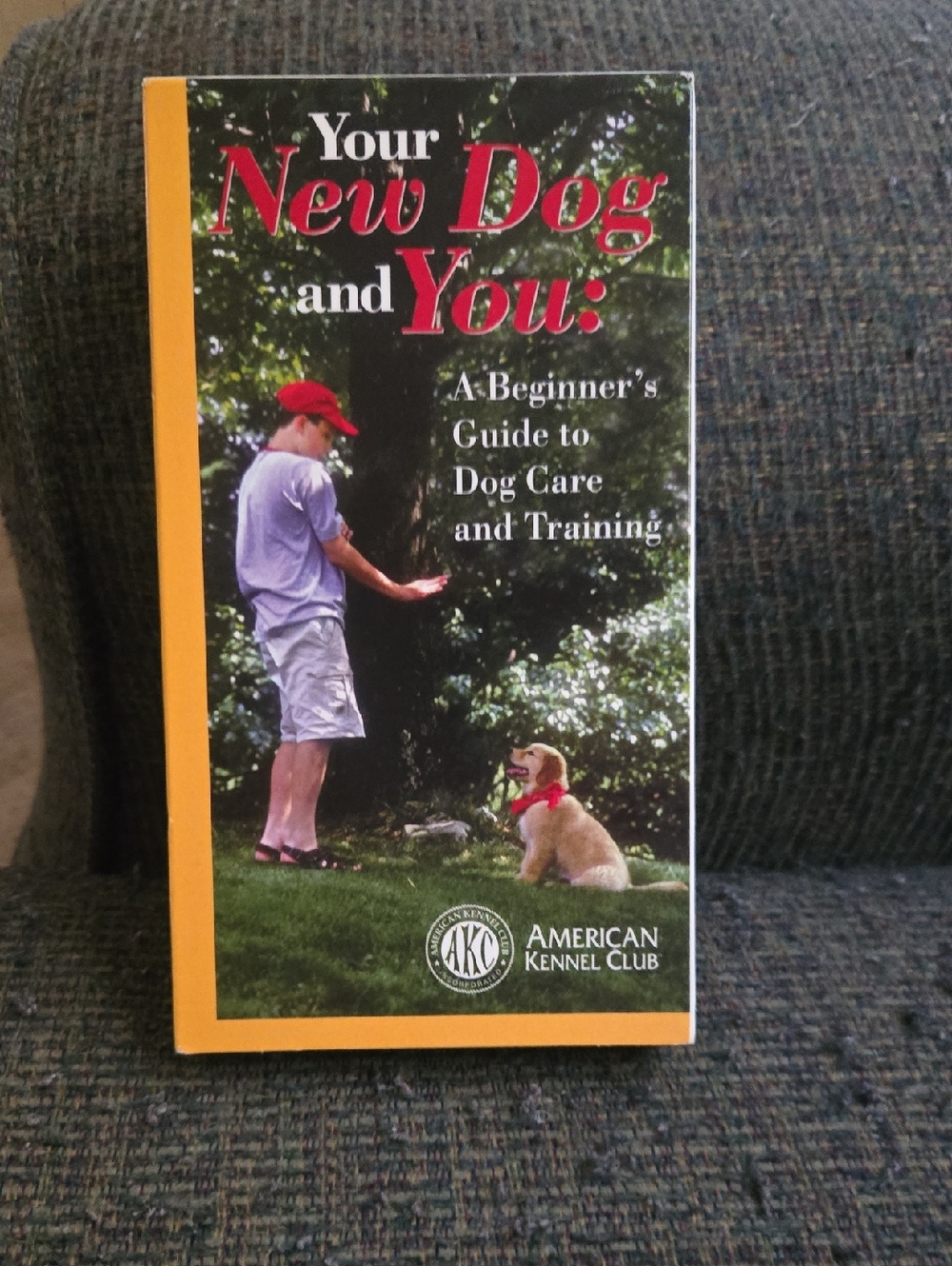 AKC Presents: Your New Dog And You